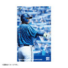 VISITORビジュアル/ステッカー