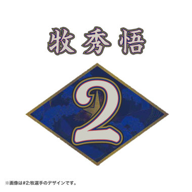 【50日間前後お届け】オールプレーヤーズ/YOKOHAMA STAR☆NIGHT 2024/背番号シート