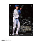 Amazon.co.jp: 横浜DeNAベイスターズ 入江大生選手 オフショット