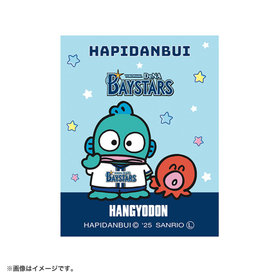 横浜denaベイスターズ 優勝記念マグネット　＆　ピンバッジ　＆ワッペン 横浜denaベイスターズ 優勝記念マグネット ＆ ピンバッジ