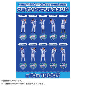 横浜DeNAベイスターズ ビジュアルブラインドアクリル