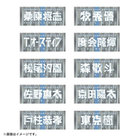 交流戦2025/選手名タオル/VISITOR