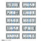 交流戦2025/選手名タオル/VISITOR