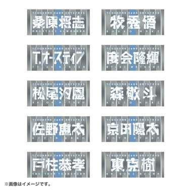 交流戦2025/選手名タオル/VISITOR（4570199859179）|商品詳細|BAYSTORE