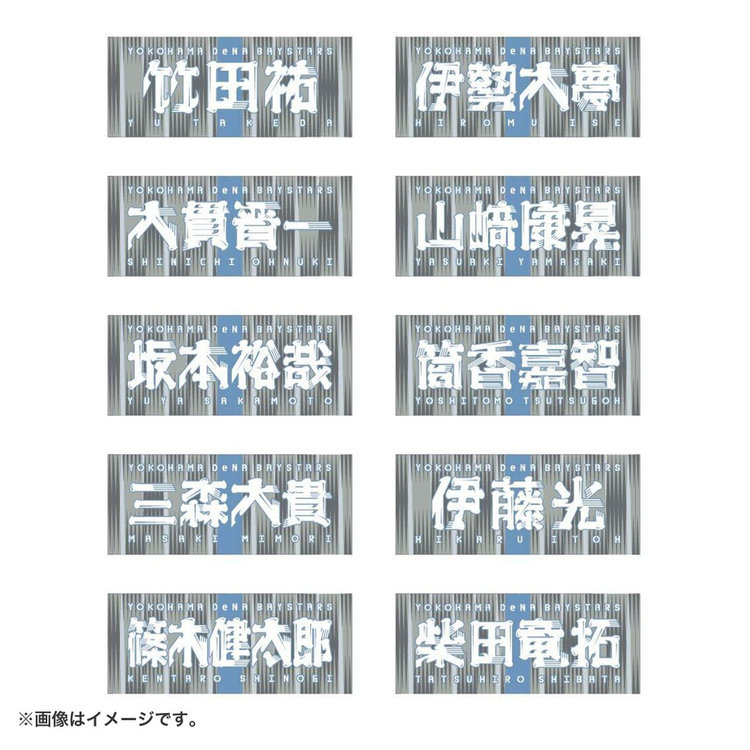 交流戦2025/選手名タオル/VISITOR（4570199859179）|商品詳細
