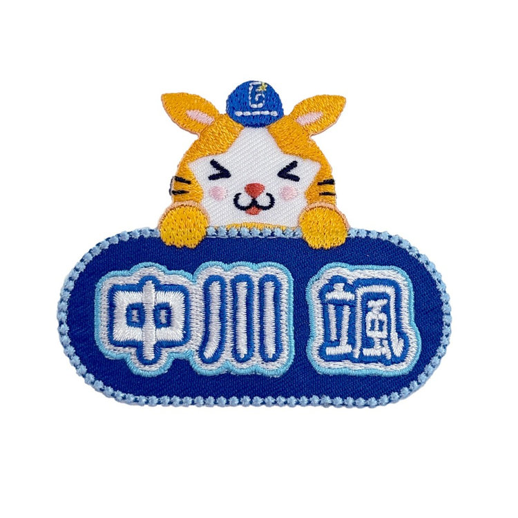 trim_fce_item6811ebf0997f7.jpg