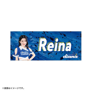 diana2025/フェイスタオル（4570199866528）|商品詳細|BAYSTORE ONLINE