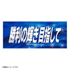 エールフェイスタオル/勝利の輝き目指して