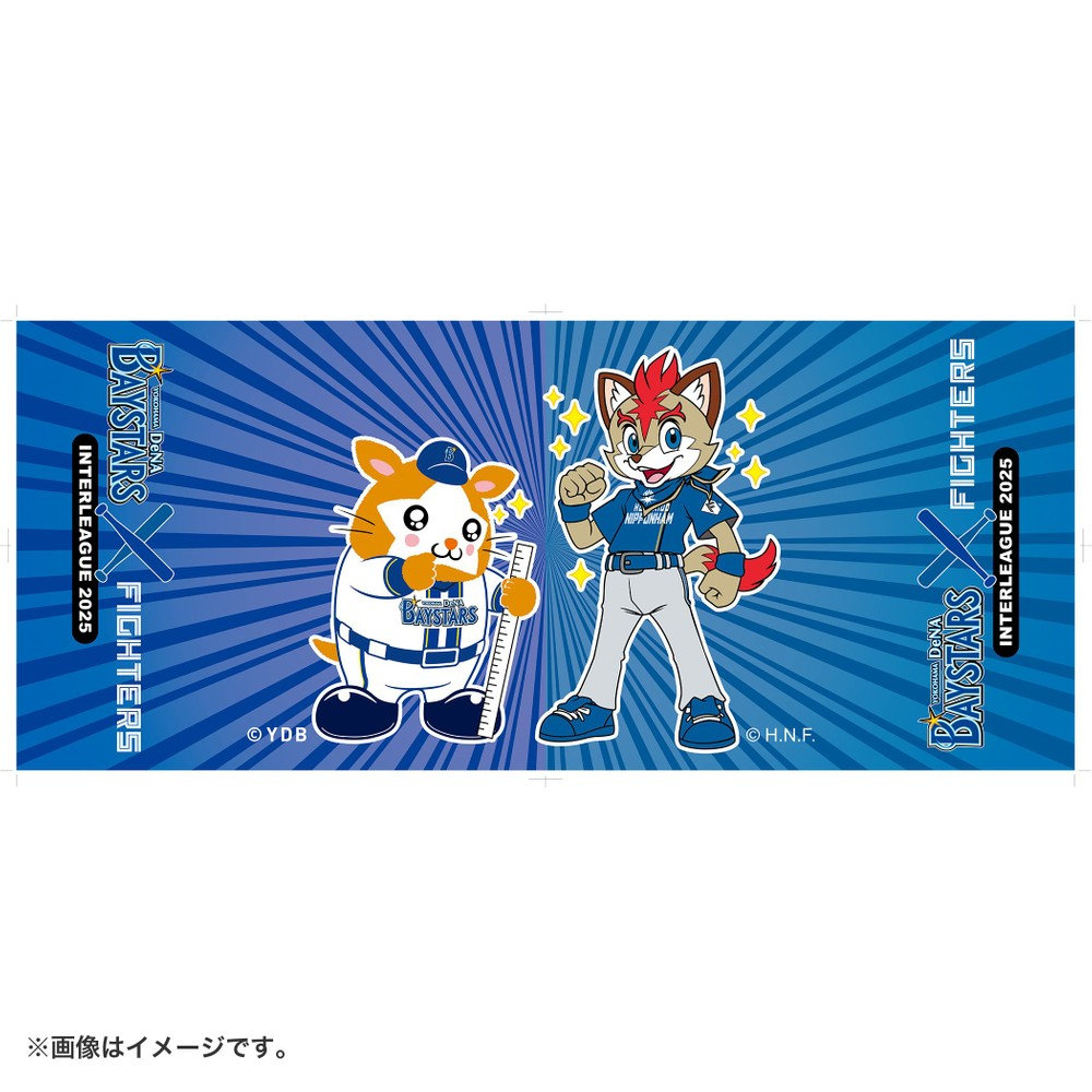 横浜DeNAベイスターズ×北海道日本ハムファイターズ/フェイス