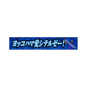9月中旬頃より順次お届け】2025ハイライト/0713/空振りサン