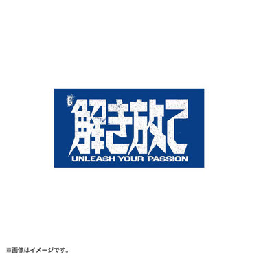 解き放て/ワッペン