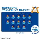 スターダム選手缶バッジ(バラ売り可 スターダム トレーディングホログラム缶バッジ 2022｜商品情報