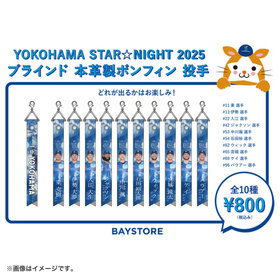 ゆうき⭐︎ベイスターズ 日本一ブラインドアクリルキーホルダー牧選手&筒香選手 VISITORビジュアル/アクリルキーホルダー（4570199633571）|商品