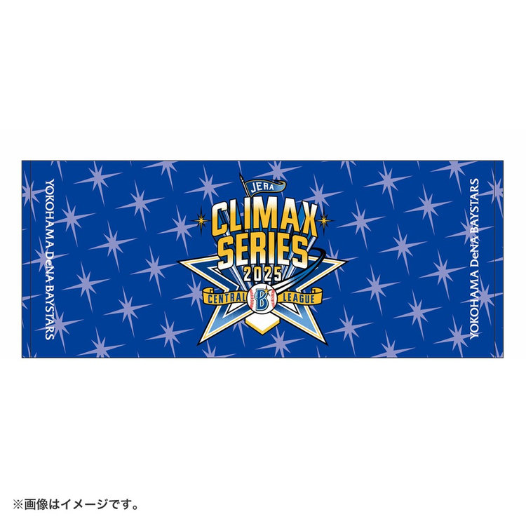早い者勝ち1枚100円 10月10日(金)までにお届け】2025 JERA クライマックスシリーズ