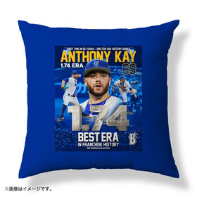 11月下旬頃より順次お届け】2025ハイライト/通算500奪三振記念