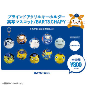実写マスコット/ブラインドアクリルキーホルダー/BART＆CHAPY