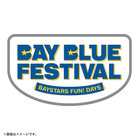 BAY BLUE FESTIVAL 2025/ロゴピンバッジ