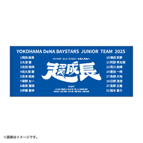 【12月末頃より順次お届け】ベイスターズJr.2025/フェイスタオル/全選手名