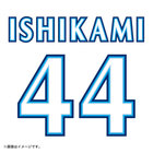 POWER SENDユニフォーム/VISITOR