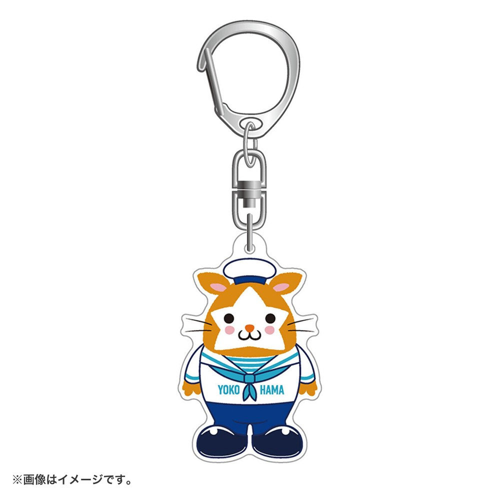 trim_fce_item697317c1e1586.jpg
