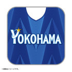 ミニタオル/VISITOR