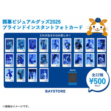 2026開幕ビジュアル/ブラインドインスタントフォトカード