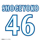 【6月中旬頃より順次お届け】横浜DeNAベイスターズ×日向坂46/背番号シート/VISITOR