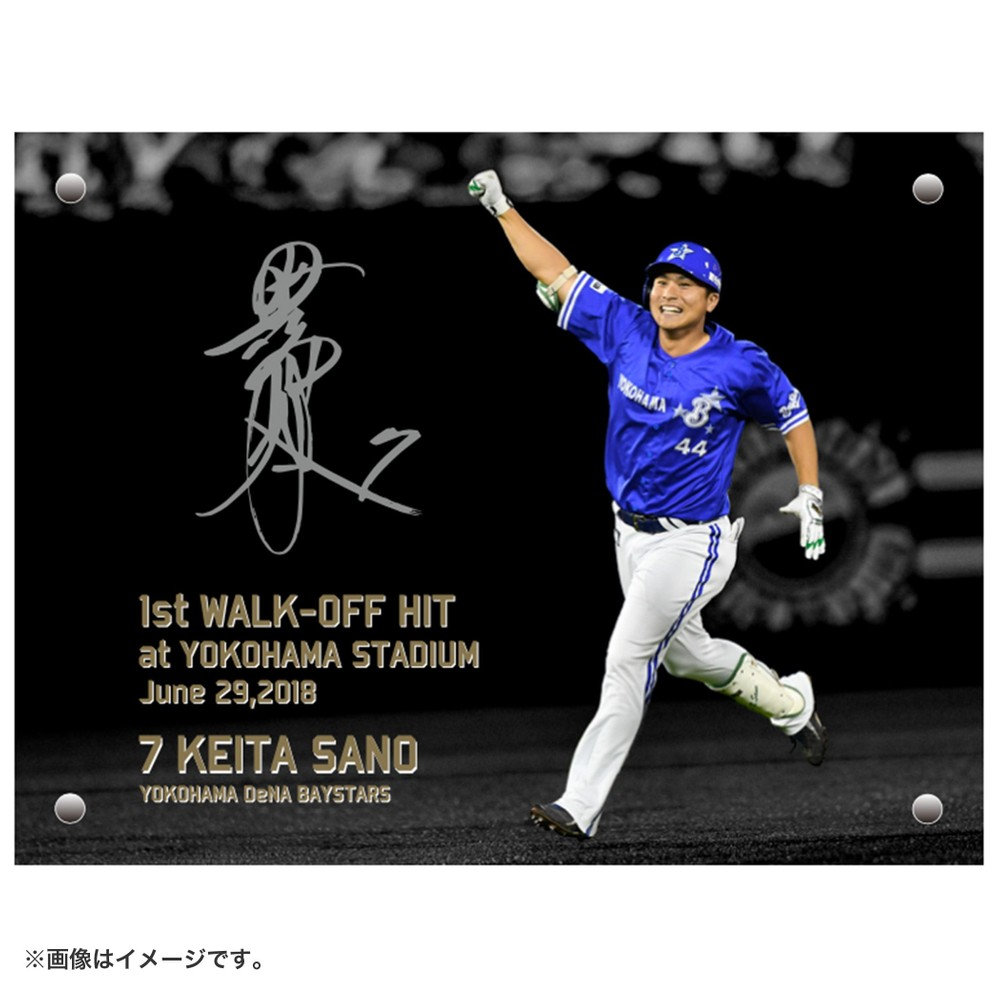 8月上旬頃より順次お届け】アクリルアートパネルコレクション/初