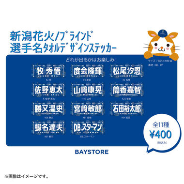 新潟花火デザイン/ブラインド選手名タオルデザインステッカー
