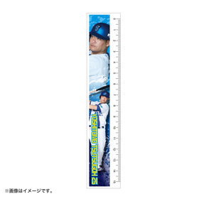 プレーヤーズフォト定規