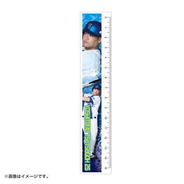 プレーヤーズフォト定規