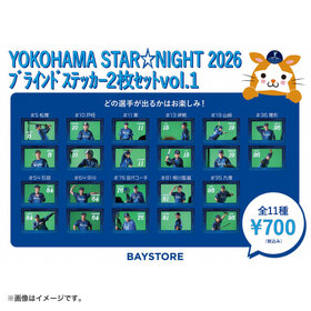 YOKOHAMA STAR☆NIGHT 2026/ブラインドステッカー2枚セットvol.1