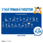 ブラインドアクリルスタンド/VISITOR
