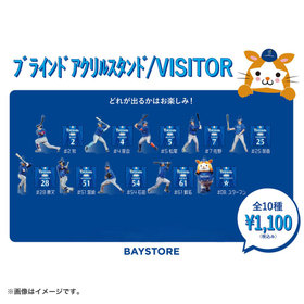 ブラインドアクリルスタンド/VISITOR