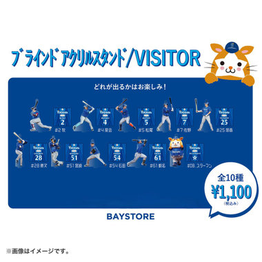 ブラインドアクリルスタンド/VISITOR