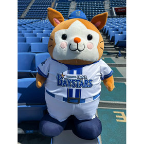 【12月中旬頃より順次お届け】超どデカぬいぐるみ/DB.スターマン