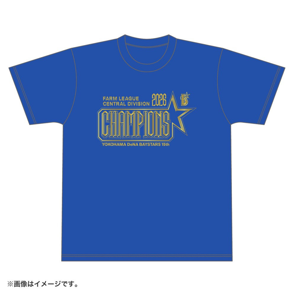 amazarashi ねぇママツアーTシャツ FC限定キャンペーン当選非売品 40日間前後お届け】ファーム・リーグ中地区2026年優勝/Tシャツ