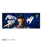 交流戦SERIES 2022/選手ビジュアル/フェイスタオル