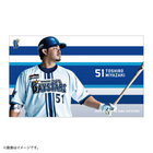 選手ビジュアル/YOKOHAMA STRIPE/ステッカー