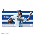 選手ビジュアル/YOKOHAMA STRIPE/ステッカー