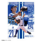 選手下敷き