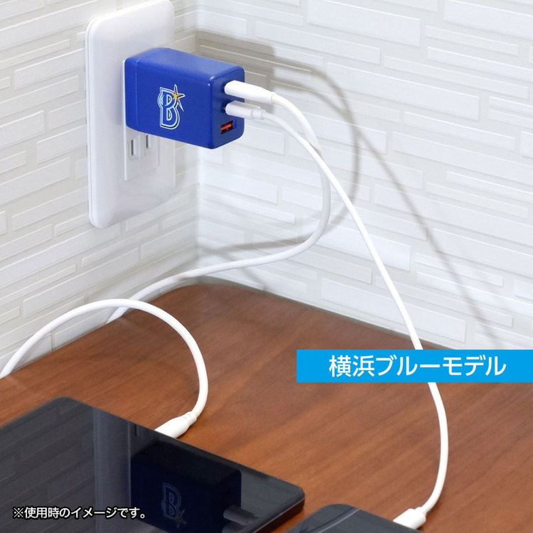 ACアダプター（479960031957）|商品詳細|BAYSTORE ONLINE