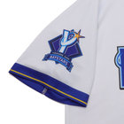 trim_fce_item67467a45e679e.jpg