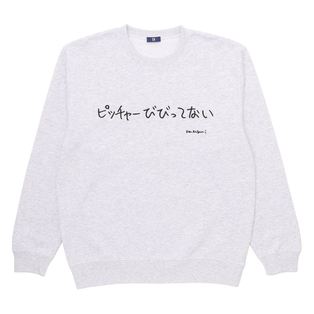 加賀美健 トレーナー Lサイズ trim_fce_item67467b467ff33.jpg