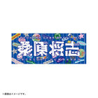 YOKOHAMA GIRLS☆FESTIVAL 2025/選手名タオル