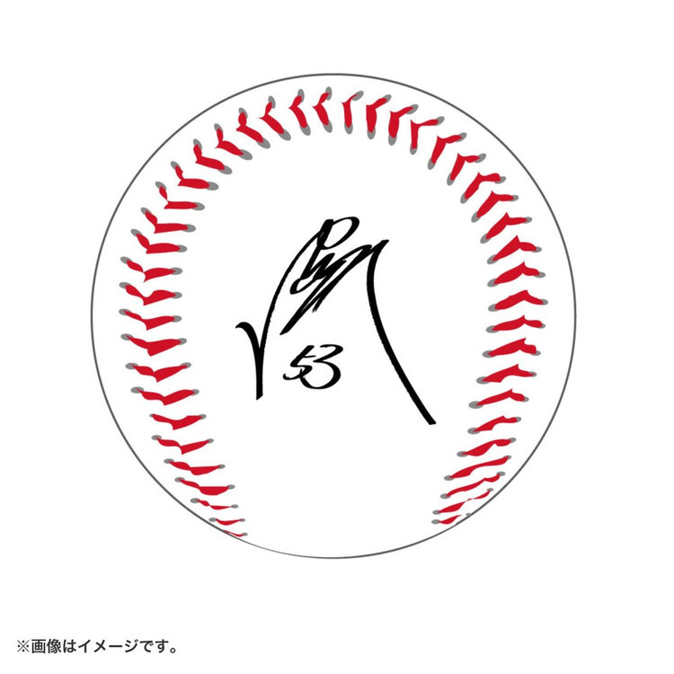 プリントサインボール（ydb4570199746622）|商品詳細|BAYSTORE ONLINE