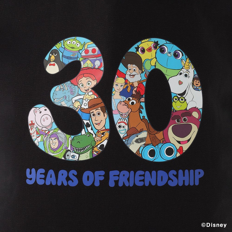TOY STORY 30th design Baseball Collection/30 YEARS OF