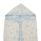 trim_fce_item67a2b56124686.jpg
