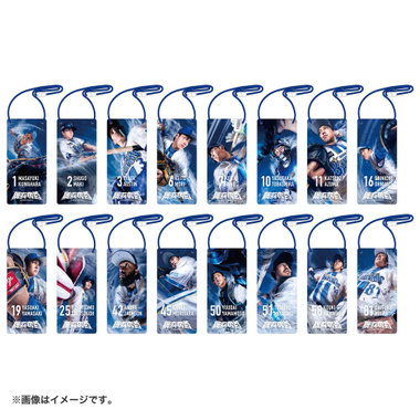 trim_fce_item67e37d46a7289.jpg