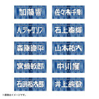 交流戦2025/選手名タオル/HOME